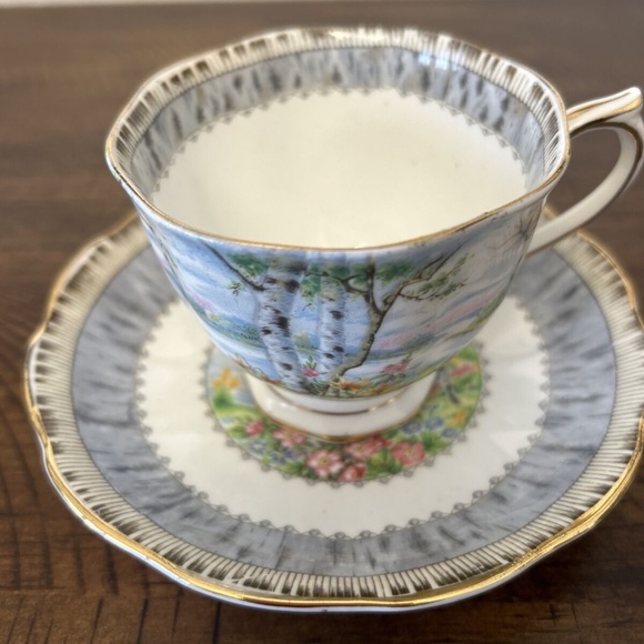 Royal Albert tea cup and saucer set - Silver Birch - Picture 2 of 3